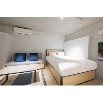 スカイツリー浅草エリア近く/最大5人収容可能/ロフトあり/レピュア曳舟レジデンスII102の物件画像