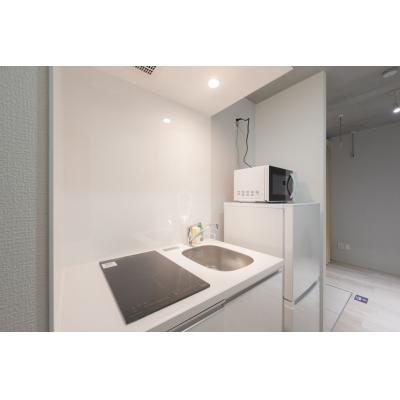 スカイツリー浅草エリア近く/最大5人収容可能/ロフトあり/レピュア曳舟レジデンスII102の物件画像