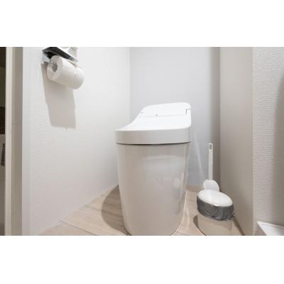 スカイツリー浅草エリア近く/最大5人収容可能/ロフトあり/レピュア曳舟レジデンスII102の物件画像