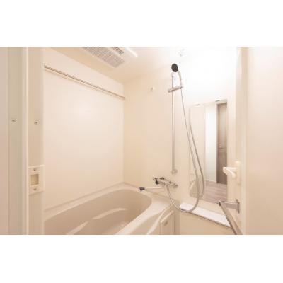 浅草駅から徒歩9分/スカイツリーも電車で1本/家具家電付き/ディアレイシャス本所吾妻橋II 702の物件画像