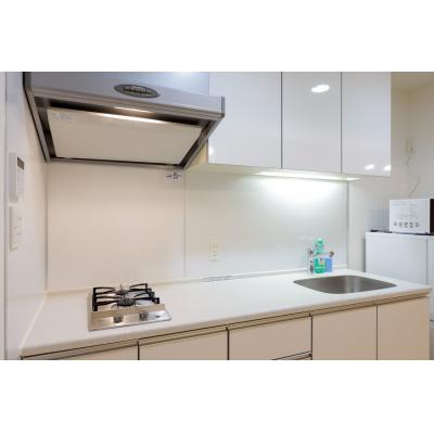 人気の南麻布エリア/東京タワーも電車で一本/最大6名まで利用可能/プラチナコート南麻布 101の物件画像