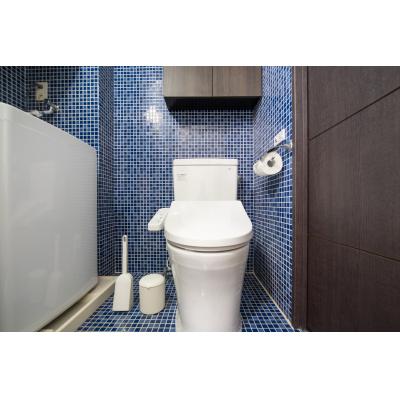 下落合駅徒歩3分！/ロフトあり/オシャレなデザイナーズ物件♪/レリオン下落合 505の物件画像