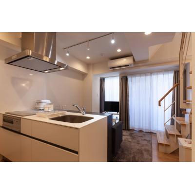 広々1LDK/東日本橋駅徒歩4分/メゾネットタイプのお部屋/NOZY NIHONBASHI 702の物件画像