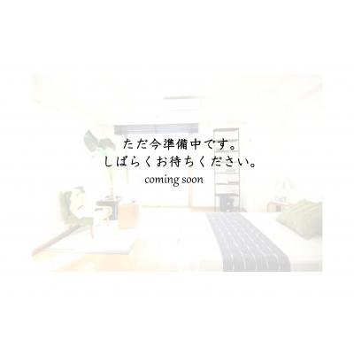  🌈新規オープンにつき表示賃料から半額！（５月末まで）🌈◆パシオン阪神尼崎１０【ネット無料！阪神尼崎徒歩圏内・2023年築浅】の物件画像