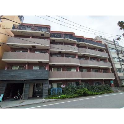 【🎉初期費用オフ｜お得なキャンペーン】【禁煙🚭/Wi-Fi無料🌐】マイナビSTAYミライエ東池袋駅前　403の物件画像