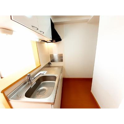 エスペランサ 203【管理NO：1-014490301-02030】 ★家具家電は申し込み後に搬入します★の物件画像