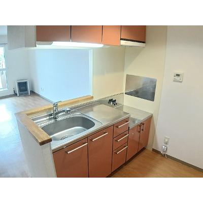 フランク・３－３ 401【管理NO：1-013353101-04010】 ★家具家電は申し込み後に搬入しますの物件画像
