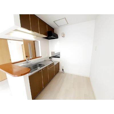 エレガンス宮の森 203【管理NO：1-007209101-02030】 ★家具家電は申し込み後に搬入しますの物件画像