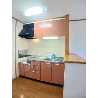 サン・フォレスト 201【管理NO：1-012876601-02010】 ★家具家電は申し込み後に搬入しますの物件画像