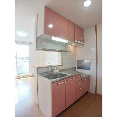 パレ・コリーヌ 203【管理NO：1-012469601-02030】 ★家具家電は申し込み後に搬入しますの物件画像
