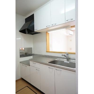 サウス・ヒル 103【管理NO：1-014649701-01030】 ★家具家電は申し込み後に搬入します 2026年07月下旬入居可能の物件画像