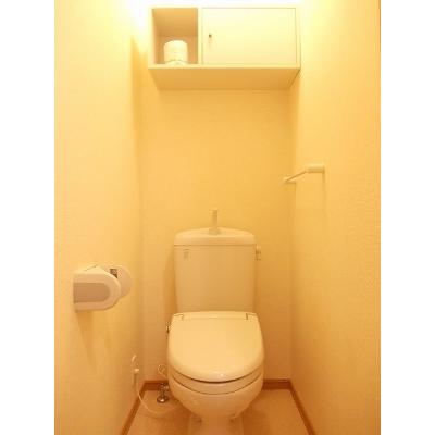 サイスフィールド　Ⅱ 105【管理NO：1-013736301-01040】 ★家具家電は申し込み後に搬入しますの物件画像