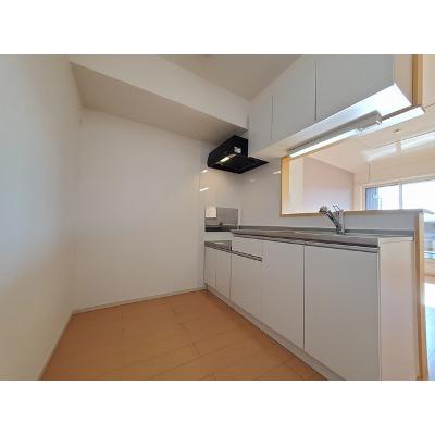 ブルック　白石　Ⅱ 202【管理NO：1-020333002-02020】 ★家具家電は申し込み後に搬入します★の物件画像