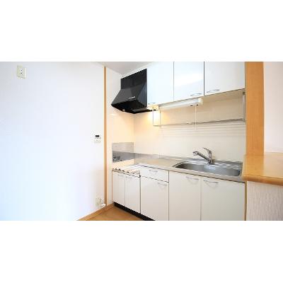 セピアコートＳ　Ｂ 202【管理NO：1-013533802-02020】 ★家具家電は申し込み後に搬入しますの物件画像