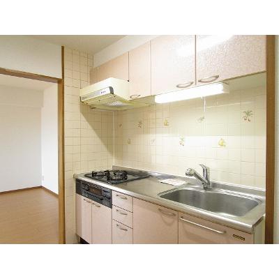 リバーシャトー 405【管理NO：1-010047701-04050】 ★家具家電は申し込み後に搬入します★の物件画像