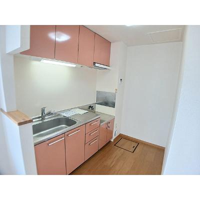メゾン・ド・ポレール 101【管理NO：1-012840701-01010】 ★家具家電は申し込み後に搬入しますの物件画像