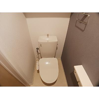 ソナーレⅡ 303【管理NO：1-028649301-03030】 ★家具家電は申し込み後に搬入します★の物件画像