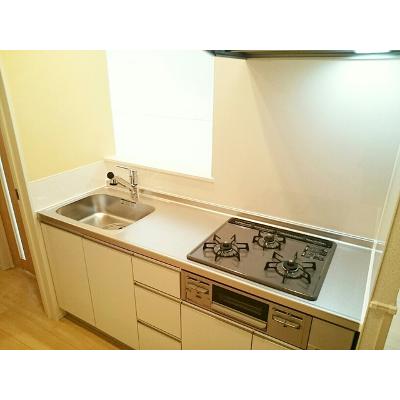 ステーション・ヒルズⅠ 101【管理NO：1-024555801-01010】 2026年06月下旬入居可能の物件画像