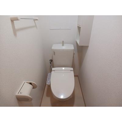ライトサファイア 203【管理NO：1-020397001-02030】の物件画像