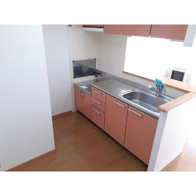カーサイリーデ 203【管理NO：1-013081401-02030】 ★家具家電は申し込み後に搬入しますの物件画像