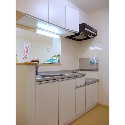 Ｆ．Ｌ．スプリングメッセ 102【管理NO：1-016593501-01020】 ★家具家電は申し込み後に搬入しますの物件画像