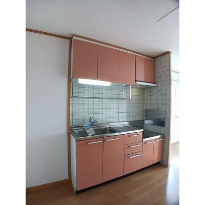 プラシード 201【管理NO：1-012316301-02010】 ★家具家電は申し込み後に搬入しますの物件画像