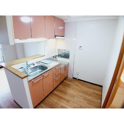 アルカンシエル 503【管理NO：1-013246201-05030】 ★家具家電は申し込み後に搬入しますの物件画像