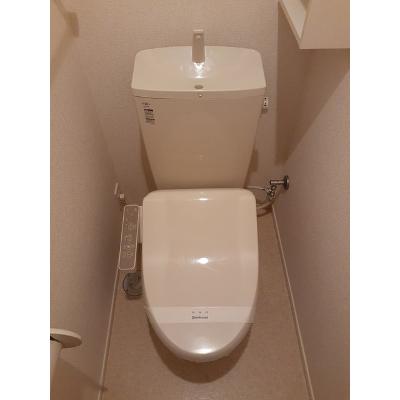 モデルノ　ポテーレⅦ 101【管理NO：1-021846201-01010】 ★家具家電は申し込み後に搬入します 2026年08月上旬入居可能の物件画像