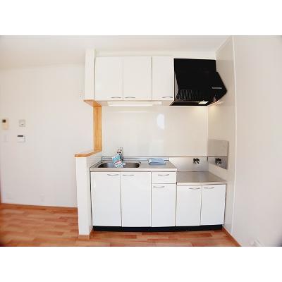 エミネンス　リミテッド 201【管理NO：1-014851401-02010】 ★家具家電は申し込み後に搬入しますの物件画像