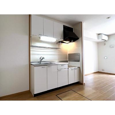 エクセレント 102【管理NO：1-014105301-01020】 ★家具家電は申し込み後に搬入しますの物件画像