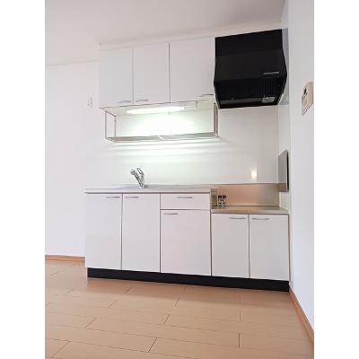 プラシードα 201【管理NO：1-015052801-02010】 ★家具家電は申し込み後に搬入します★の物件画像