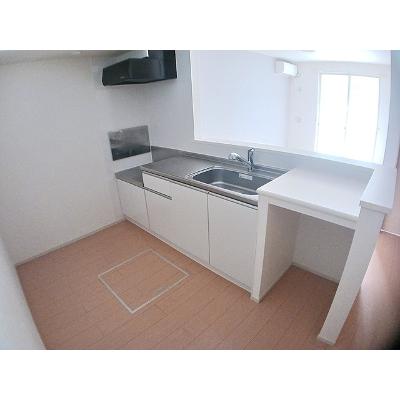 シューティングスター 102【管理NO：1-020584501-01020】 ★家具家電は申し込み後に搬入しますの物件画像