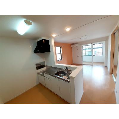 Ｐｅａｃｅ 202【管理NO：1-021153301-02020】 ★家具家電は申し込み後に搬入します★の物件画像
