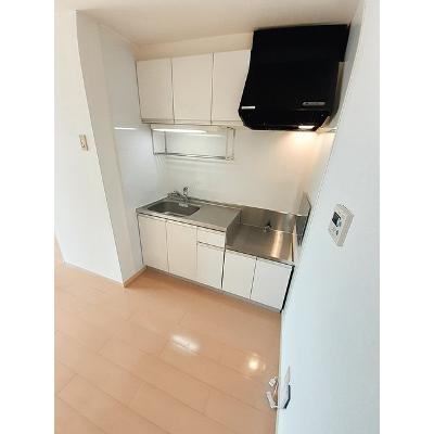 エルデムＺＥＮ　Ａ 203【管理NO：1-007197601-02030】 ★家具家電は申し込み後に搬入します★の物件画像
