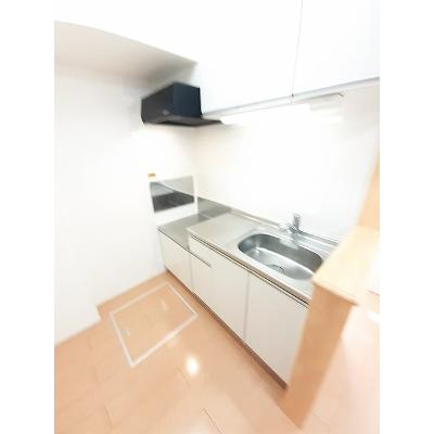 グレイス 102【管理NO：1-019090801-01020】 2026年07月上旬入居可能の物件画像