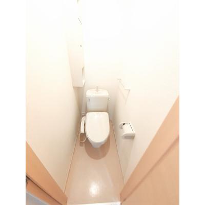 カーサ　ステッラⅡ 101【管理NO：1-018399701-01010】の物件画像
