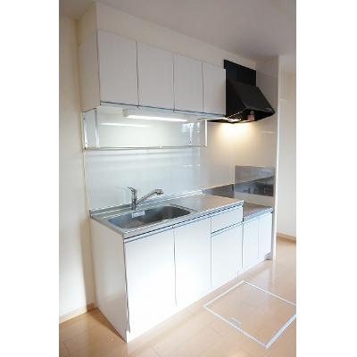 カーサ・アイリス 104【管理NO：1-016933901-01040】 ★家具家電は申し込み後に搬入します★の物件画像