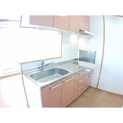 サニーセトル弐号館 203【管理NO：1-012392601-02030】 ★家具家電は申し込み後に搬入します★の物件画像