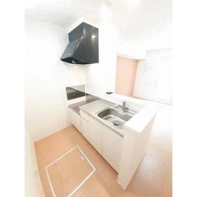 Ｐｉｎｅ　Ｂｒｅｅｚｅ壱番館 102【管理NO：1-018920701-01020】 ★家具家電は申し込み後に搬入します★の物件画像