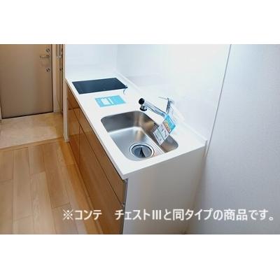ヴィセオ 303【管理NO：1-027929201-03030】 ★家具家電は申し込み後に搬入します★ ★2026年09月上旬入居可能★の物件画像