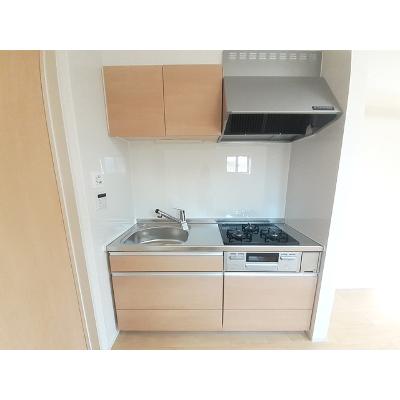 カレント・Ｋ　Ⅳ 204【管理NO：1-025491901-02040】 ★家具家電は申し込み後に搬入します★の物件画像