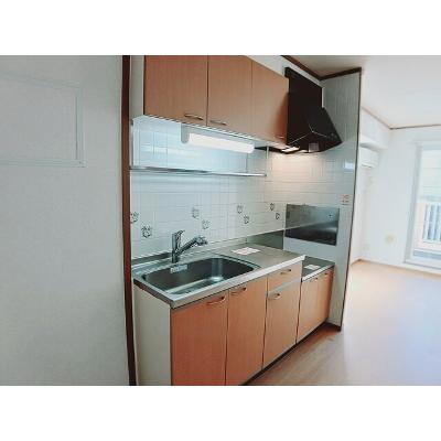 グランデュールⅠ 202【管理NO：1-011420701-02020】 ★家具家電は申し込み後に搬入します★の物件画像