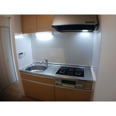 カーサ・フィオーレ 201【管理NO：1-021541601-02010】 ★家具家電は申し込み後に搬入します★の物件画像