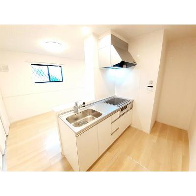 サンスベリア 105【管理NO：1-026756201-01050】 ★家具家電は申し込み後に搬入しますの物件画像