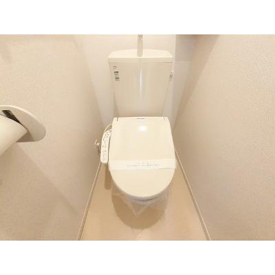 ストロベリーハウスⅣ 204【管理NO：1-021327202-02040】 2026年07月上旬入居可能の物件画像