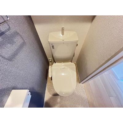 ライザガーデン 203【管理NO：1-028381601-02030】 ★家具家電は申し込み後に搬入します★の物件画像