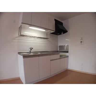 メープルツリー 201【管理NO：1-016933001-02010】 ★家具家電は申し込み後に搬入します★の物件画像