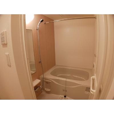 マスカット　ベリー　Ｂ 201【管理NO：1-024488402-02010】 ★家具家電は申し込み後に搬入しますの物件画像