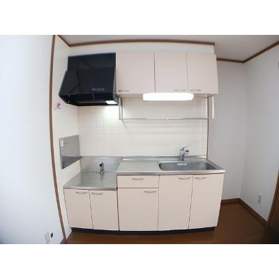 フォンテーヌ 103【管理NO：1-011029201-01030】 ★家具家電は申し込み後に搬入します★の物件画像