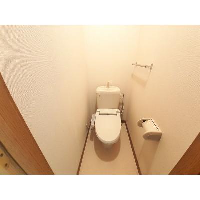 キャンディータフトＳ 101【管理NO：1-009497601-01010】 ★家具家電は申し込み後に搬入します★の物件画像
